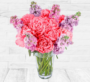 British Peonies and Stocks