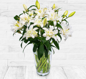 Double-Flowering Lilies