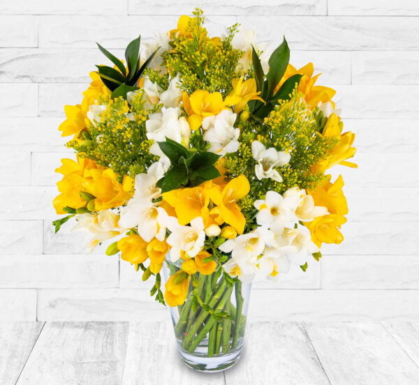 Fabulous Freesia
