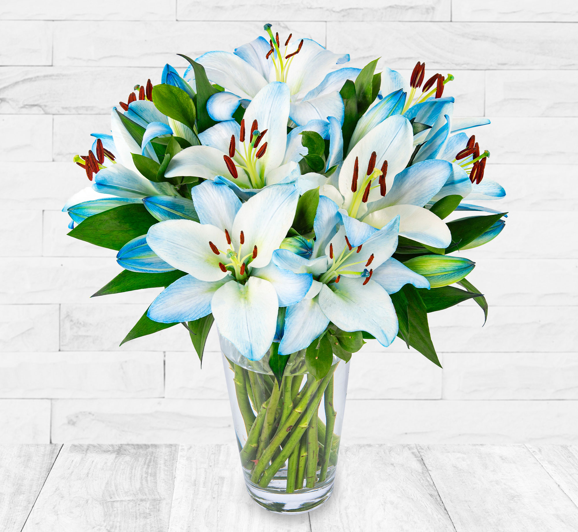 Sapphire Lilies