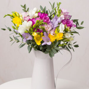 Summer Freesias