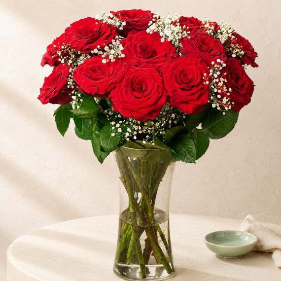 12 Red Roses & Gypsophila